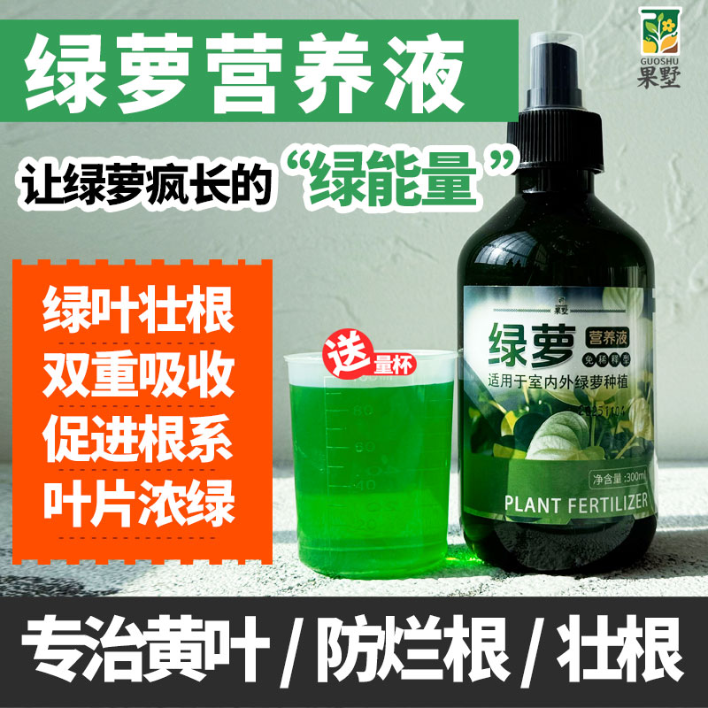 果墅绿萝专用营养液防黄叶