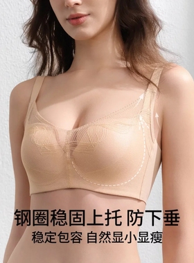 国内代购芬怡正品 大胸显小调整聚拢有钢圈副乳防下垂薄文胸8272C
