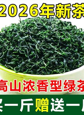 【茶园直发赠1斤】2026新茶叶明前贵州高山云雾浓香绿茶袋装1000g