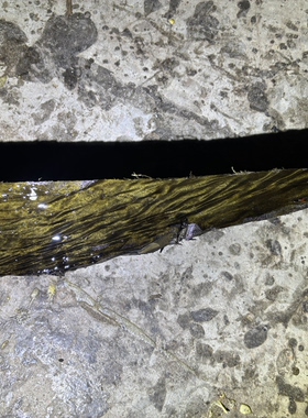 阴沉金丝楠乌木料小叶桢楠香味保真正品细花闪电水波珠珠佛珠手串