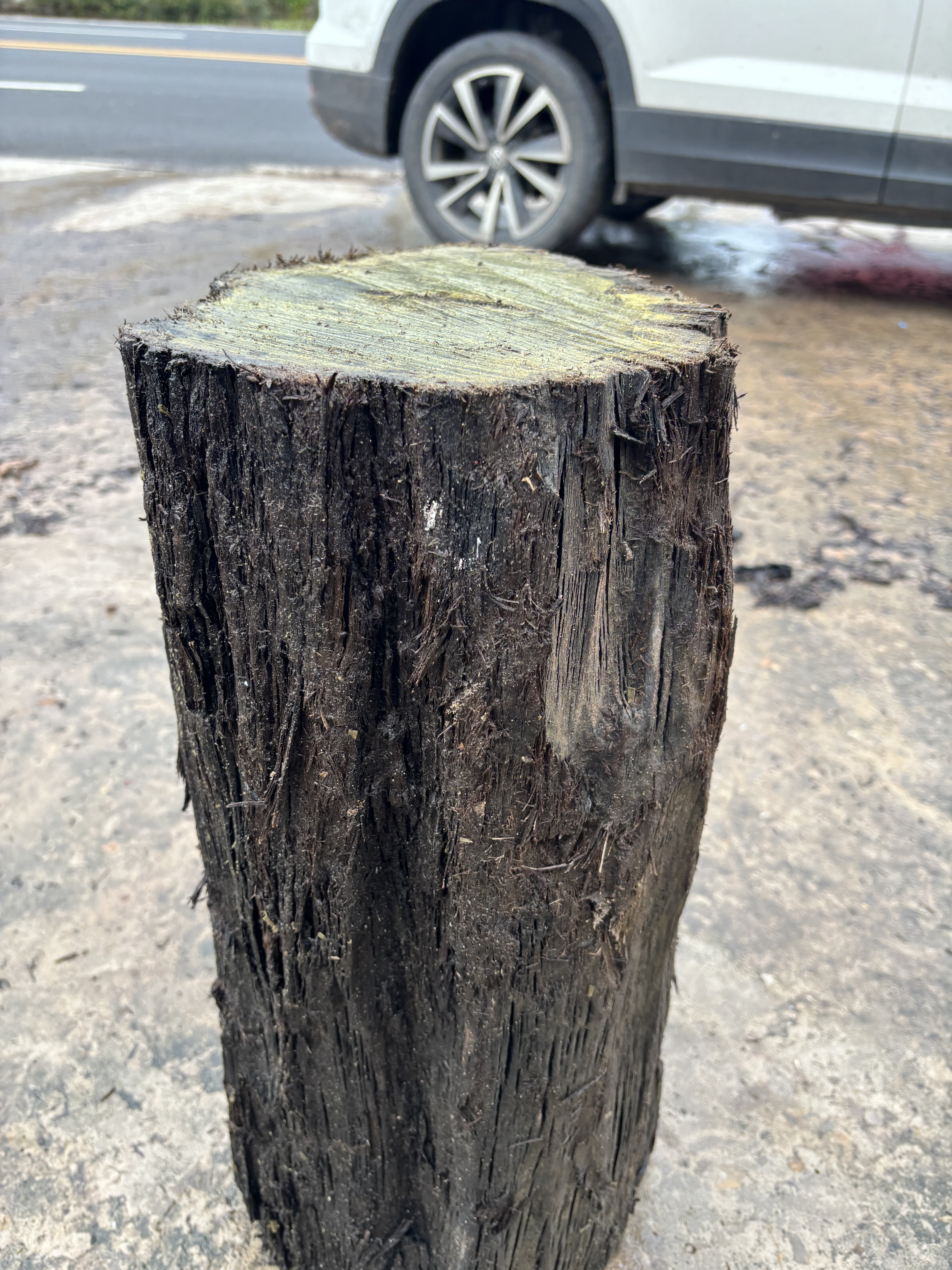 阴沉金丝楠乌木料小叶桢楠香味保真正品实心圆木墩子雕刻开板料