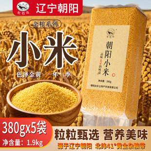 朝阳小米当季新米营黄米新米农家真空粮食小米粥五谷杂粮煮粥