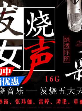 车载无损MP3发烧流行歌曲U盘