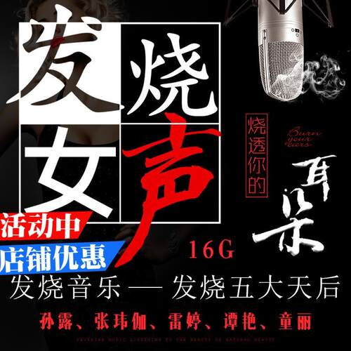 车载无损MP3发烧流行歌曲U盘