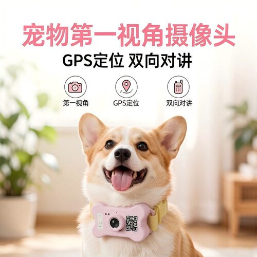 宠物定位器项圈带摄像头狗狗项圈小猫项圈摄像头小狗猫咪计步器
