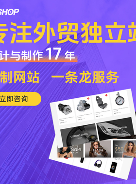 比shopify更好的外贸购物网站设计中英文商城网站建设免费试用