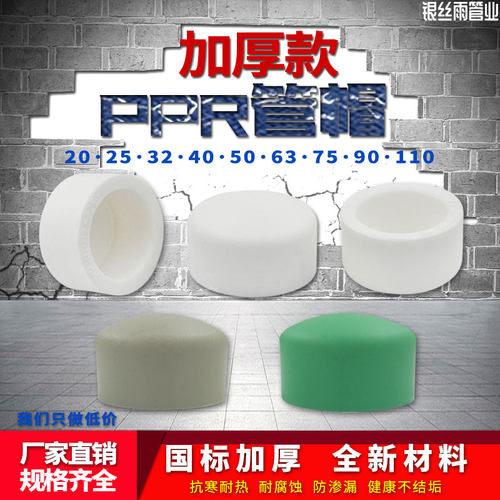 ppr管堵4分6分家用水管配件