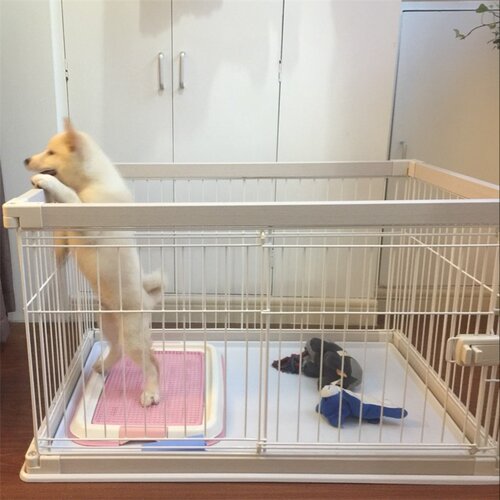 爱丽思中型犬栅栏宠物笼子