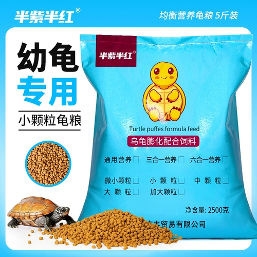 半紫半红 Зерновая черепаха кормить бразильские черепахи