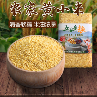 小米粥 农家小米粮食 吃 黄小米月子米 小黄米新米 小米杂粮500g