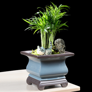 紫砂大口径陶瓷兰花盆哥窑高端家用客厅复古创意榕树蝴蝶兰造景盆