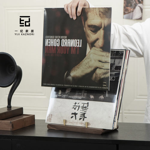 网红爆款—黑胶唱片收纳架