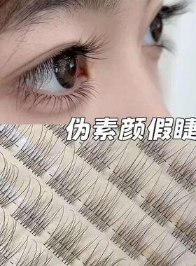 免胶透明鱼尾假睫毛自然分段超自然单簇日常新手懒人素颜仿真无梗