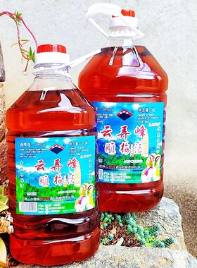 大理特产云弄峰雕梅酒一枝梅2.5/5升20度果酒果露酒梅子产地直发