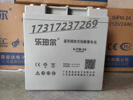 乐珀尔6-FM-24蓄电池12V24AH 6-GFM-38 65 12v100ah消防UPS电源