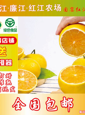 廉江红橙子正宗红江橙孕妇红江农场10斤新鲜当季水果现摘手剥薄皮
