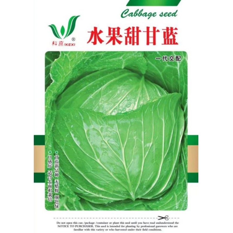 水果甜甘蓝种子包菜结球甘蓝种籽