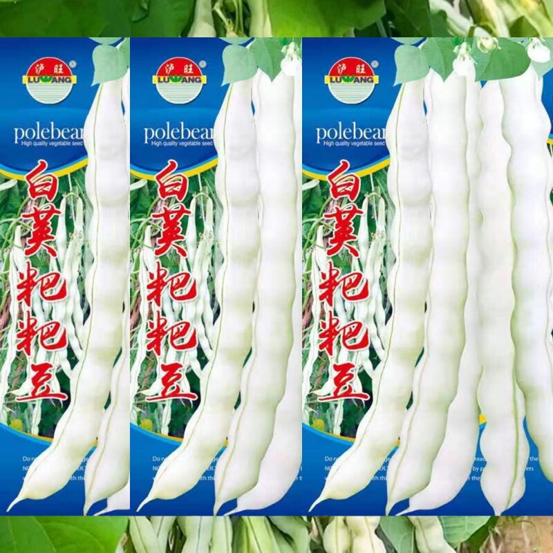 白荚架豆种子九粒白四季豆种籽孑