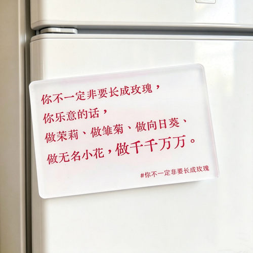 才华横溢的小朋友励志文字自制亚克力冰箱贴装饰型桌面装饰贴
