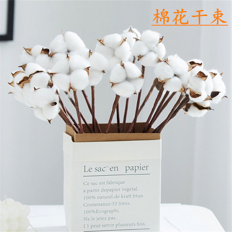 自然干花棉花花束白色单支 圣诞花束装饰节花束 新疆棉花干花