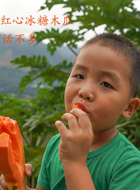 红心木瓜牛奶超甜自然熟炖牛奶