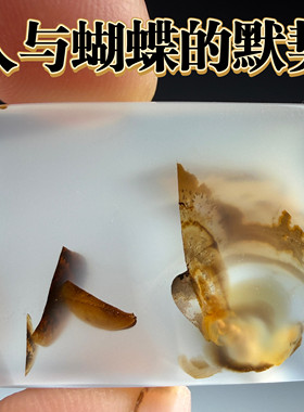 海洋玉髓象形图案奇石亿万年的玉化纹理原石手工打磨天然玛瑙奇石