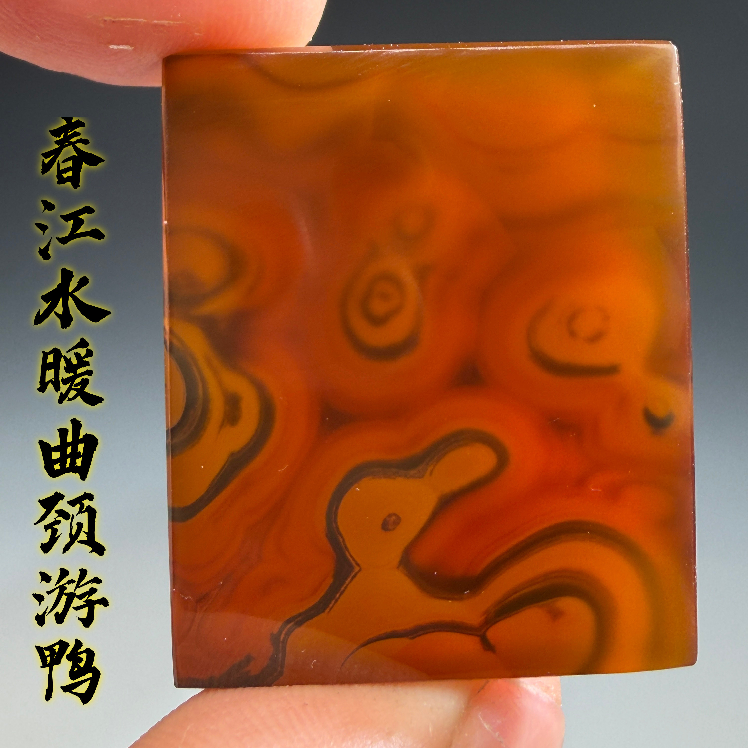 春江水暖曲颈游鸭 天然玛瑙玉髓画面石象形图案奇石内包图巴玉