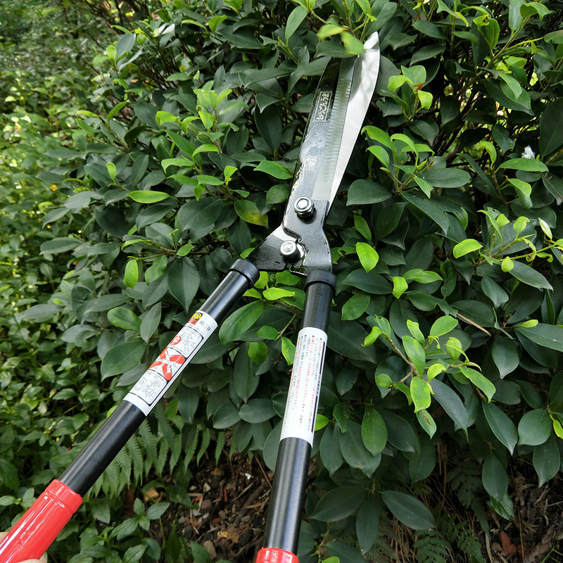 长柄绿篱修枝剪日本黄金马进口大草剪刀树枝剪花枝草坪除草园艺剪