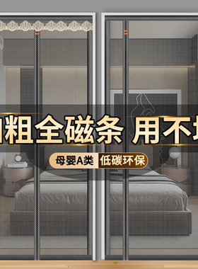 门帘2025新款防蚊虫入户门高档磁性纱门全磁吸条强力夏季卧室家用