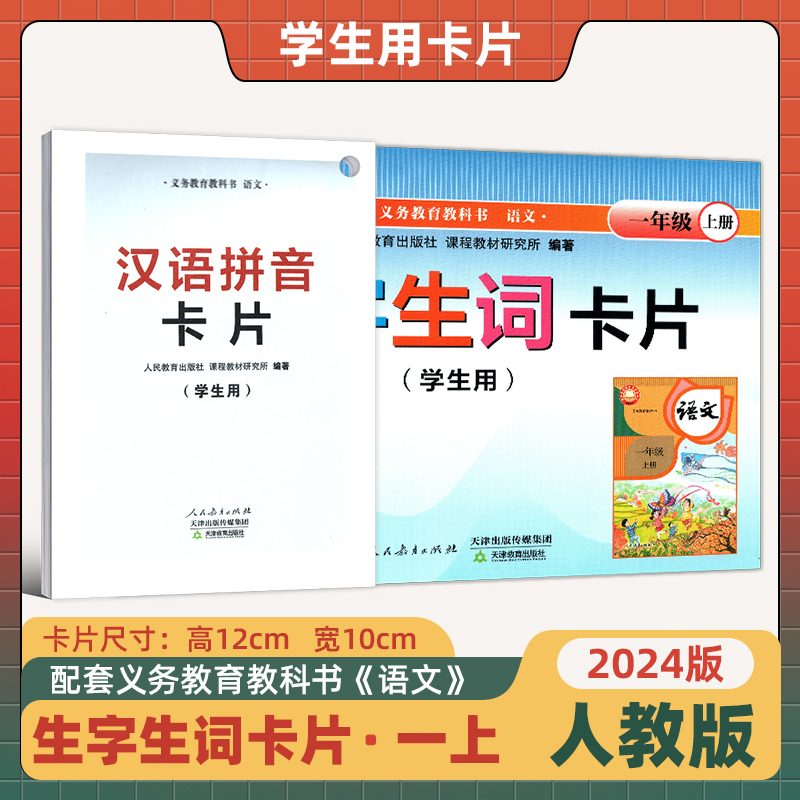 生字生词+汉语拼音卡片2024新版