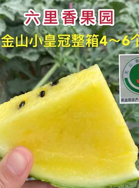 新鲜水果西瓜正宗金山小皇冠18斤净重黑子黄瓤现摘现发脆甜包邮