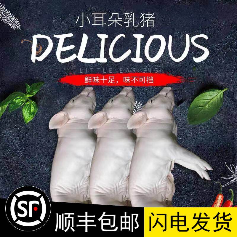 新鲜小耳朵乳猪整只小香猪生鲜广式烧腊脆皮烤肉生冻冷冻土猪酒店