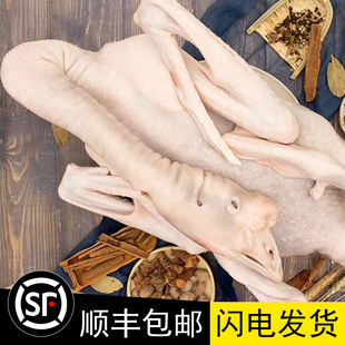 广东新鲜现杀8-14斤狮头鹅整只卤水光鹅肉生冷冻卤味餐厅酒店商用