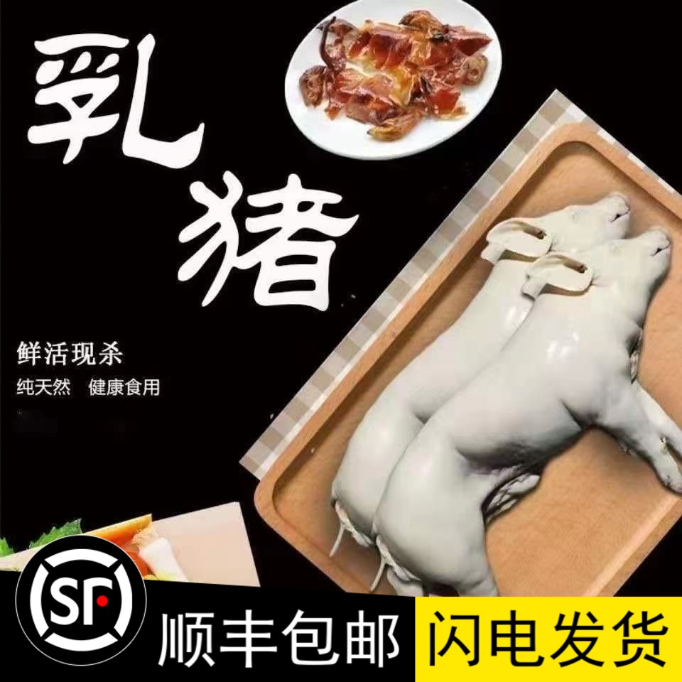 广式乳猪新鲜冷冻整只