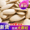 2026年新货大片生南瓜子原味炒熟大颗粒南瓜籽带壳内蒙特产0添加