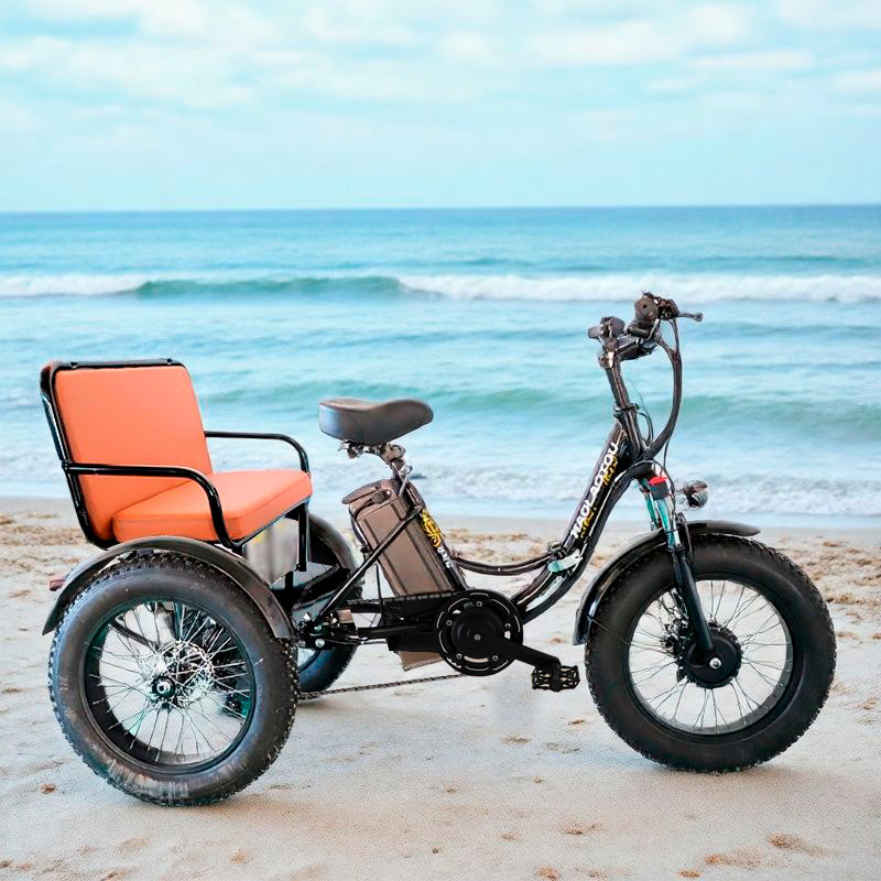 力矩助力电动雪地车沙滩车脚踏助力三轮车差速器7级变速油碟新品