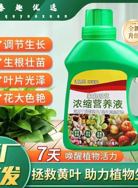 泰趣优选山明家庭园艺浓缩营养液养花浓缩万能绿植盆栽富贵竹肥料