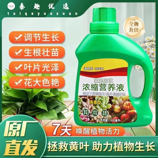 泰趣优选山明家庭园艺浓缩营养液养花浓缩万能绿植盆栽富贵竹肥料