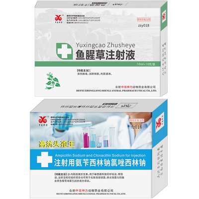 中龙神力氨苄西林子宫炎兽药兽用