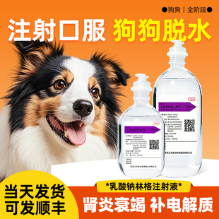中龙神力乳酸钠林格注射液宠物用皮下补液口服脱水症狗犬猫咪肾衰