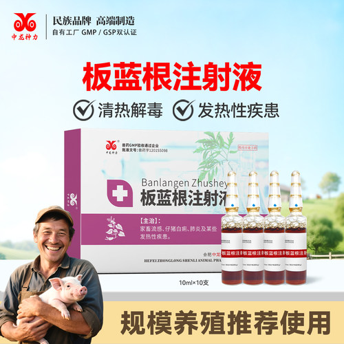 中龙兽药板蓝根注射液猪用牛羊用