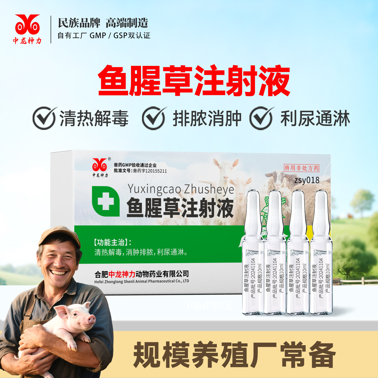 中龙神力兽药鱼腥草注射猪用产后图片