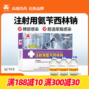 中龙神力注射用氨苄西林钠兽用注射兽药猪牛羊咳喘嗜血菌果树专用