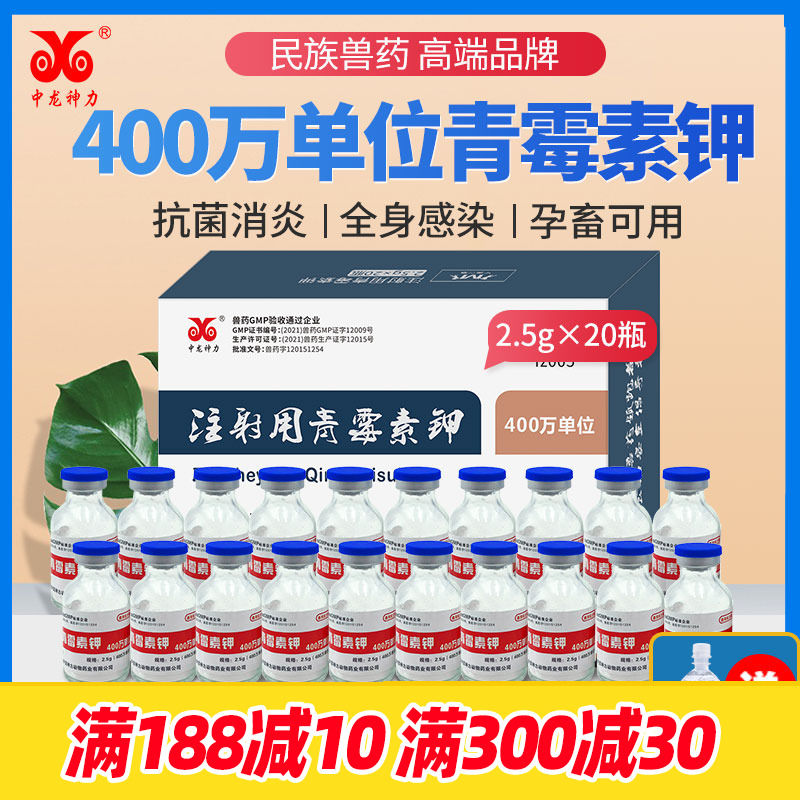中龙神力青霉素兽用消炎药猪牛羊