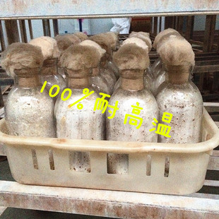 厂家直销菌种玻璃瓶750ml菌种玻璃瓶组培瓶蘑菇菌种瓶食用菌瓶