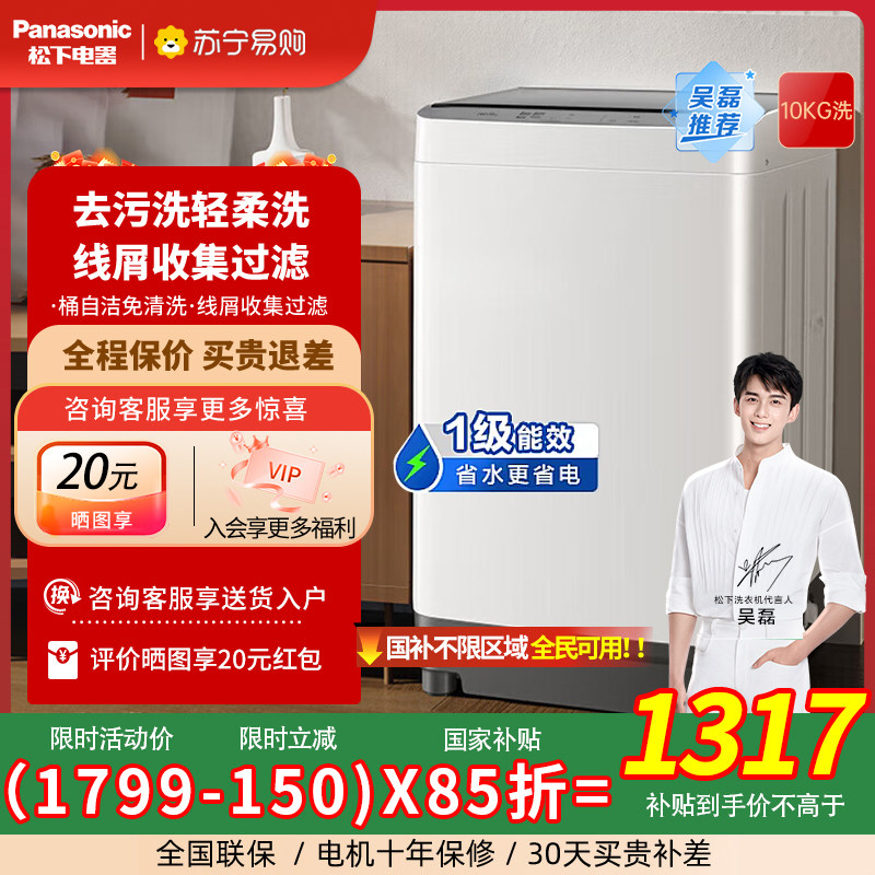 松下10公斤波轮洗衣机毛毯洗全自动家用租房抗菌除螨T2F1 3971