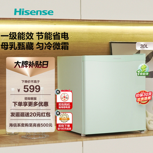 海信30L母乳储奶冷冻箱保鲜冰柜一级节能小型立式家用迷你冰箱206