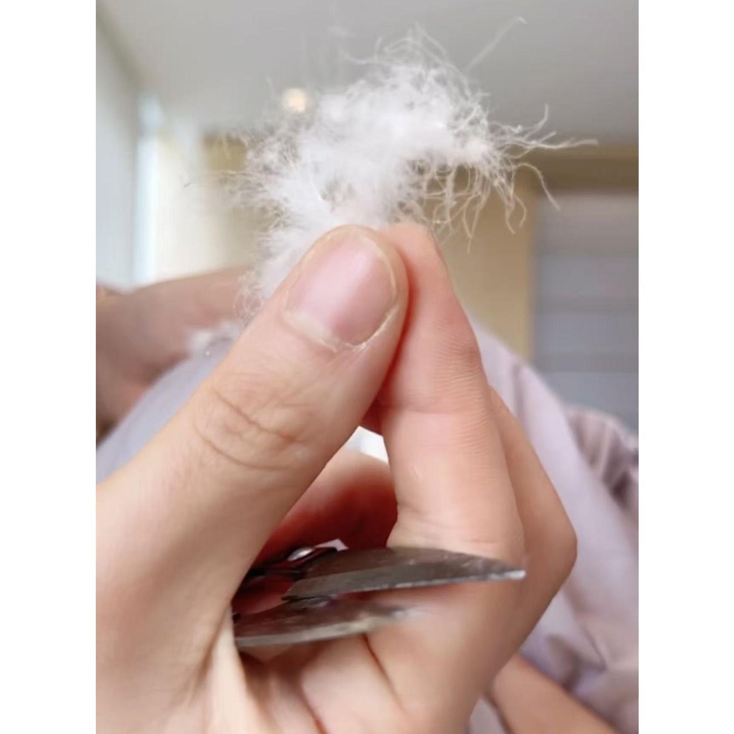 鱼骨羽绒服！显瘦又轻暖 90白鸭绒连帽合身羽绒服女秋冬新G102013