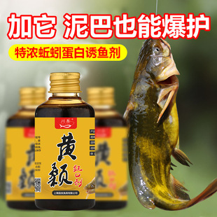 专钓昂刺鱼窝料黄辣丁窝料黄骨鱼黄鸭叫黄桑鱼酒窝料开口小药国良