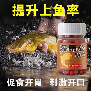 国良爆昂公黄辣丁黄颡鱼昂刺黄鸭叫黄骨鱼颗粒窝料珠珠挂钩即钓